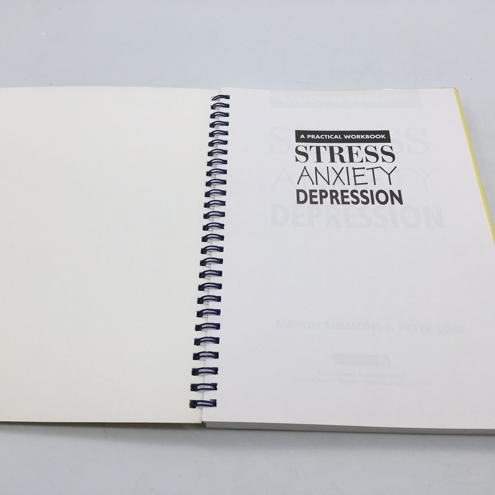 Stress Anxiety Depression Martin Simmons 2003 Paperback Spiral Bound Book