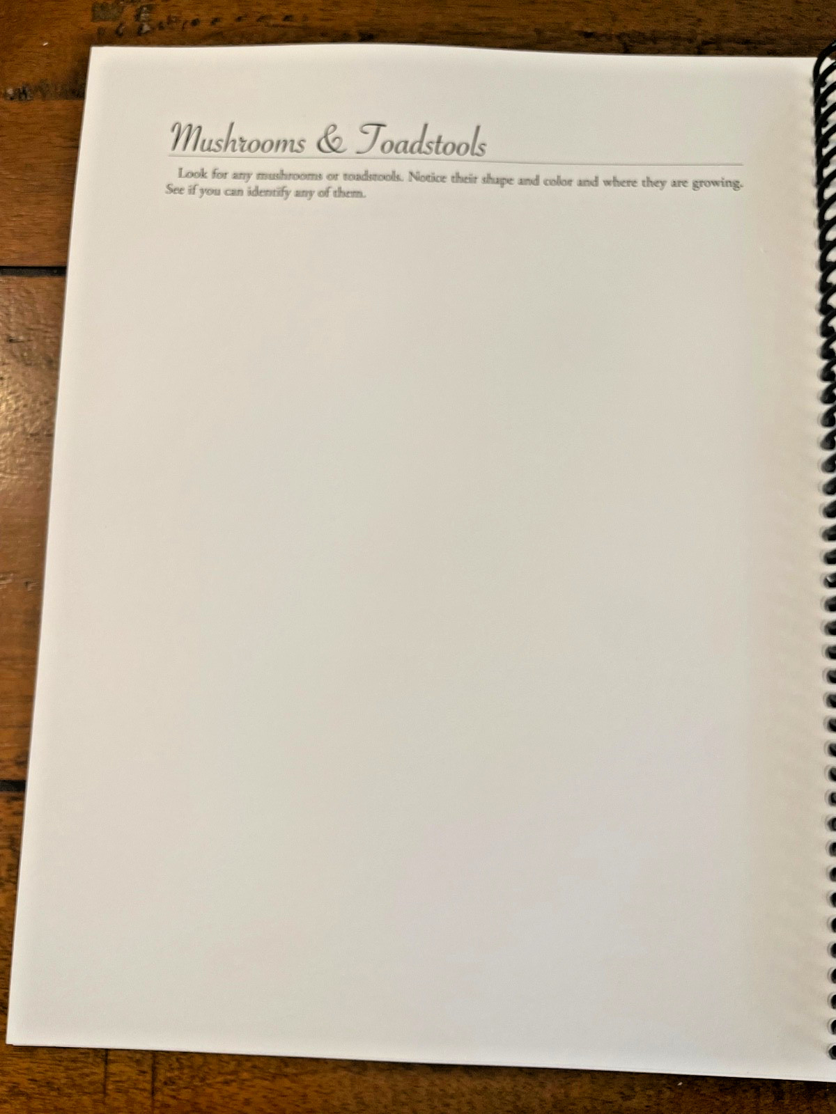 Simply Charlotte Mason Journaling a Year in Nature Spiral Bound Like New